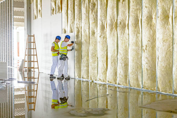 Best Residential Insulation in Dumbarton, VA